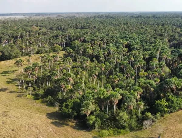 Ecosistemas de humedales en Colombia